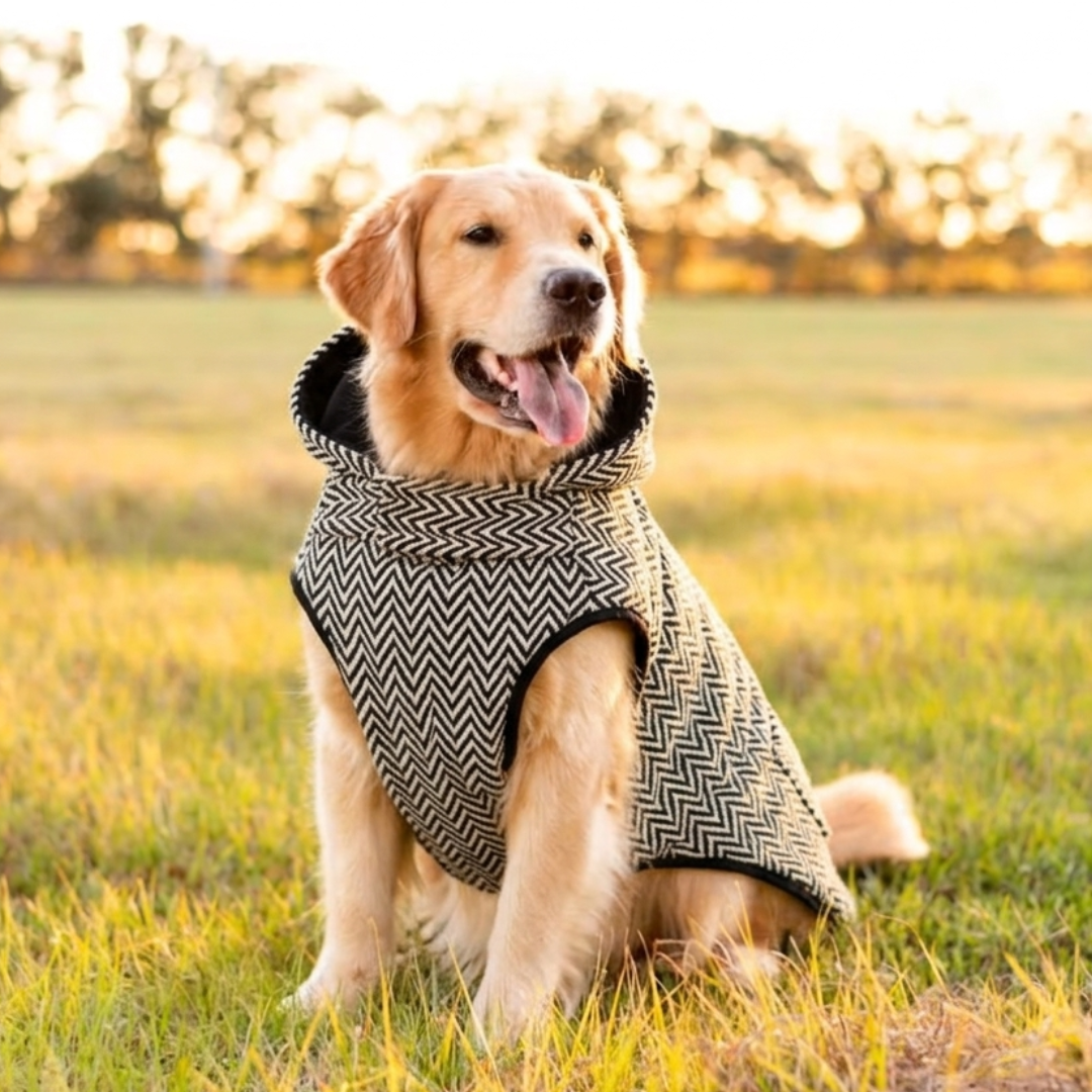 Heritage Sweater Jacket