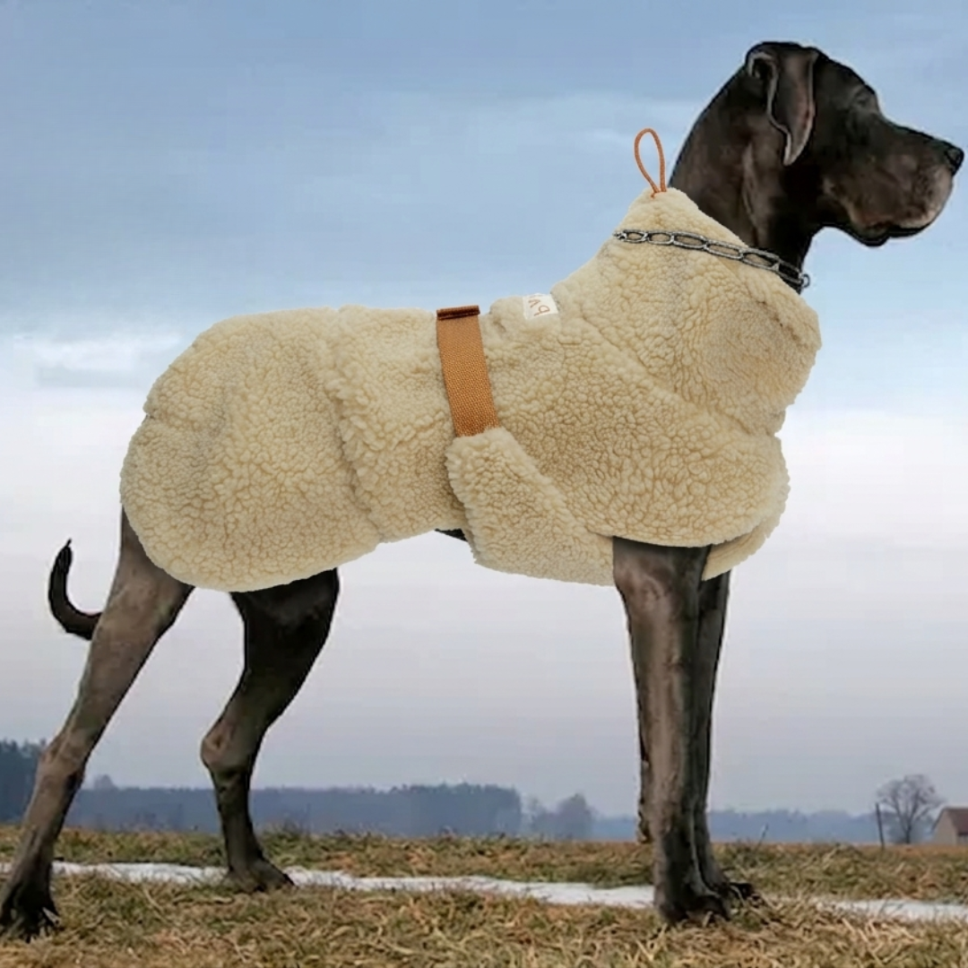 Thoughtfully Made Jackets