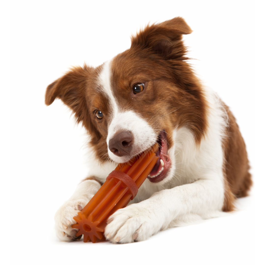 Pooch & Whiskers Natural Rubber Toys