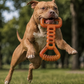 Heavy Duty Studded Dog Pull