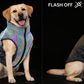 Aurora Dog Jacket