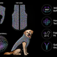 Aurora Dog Jacket