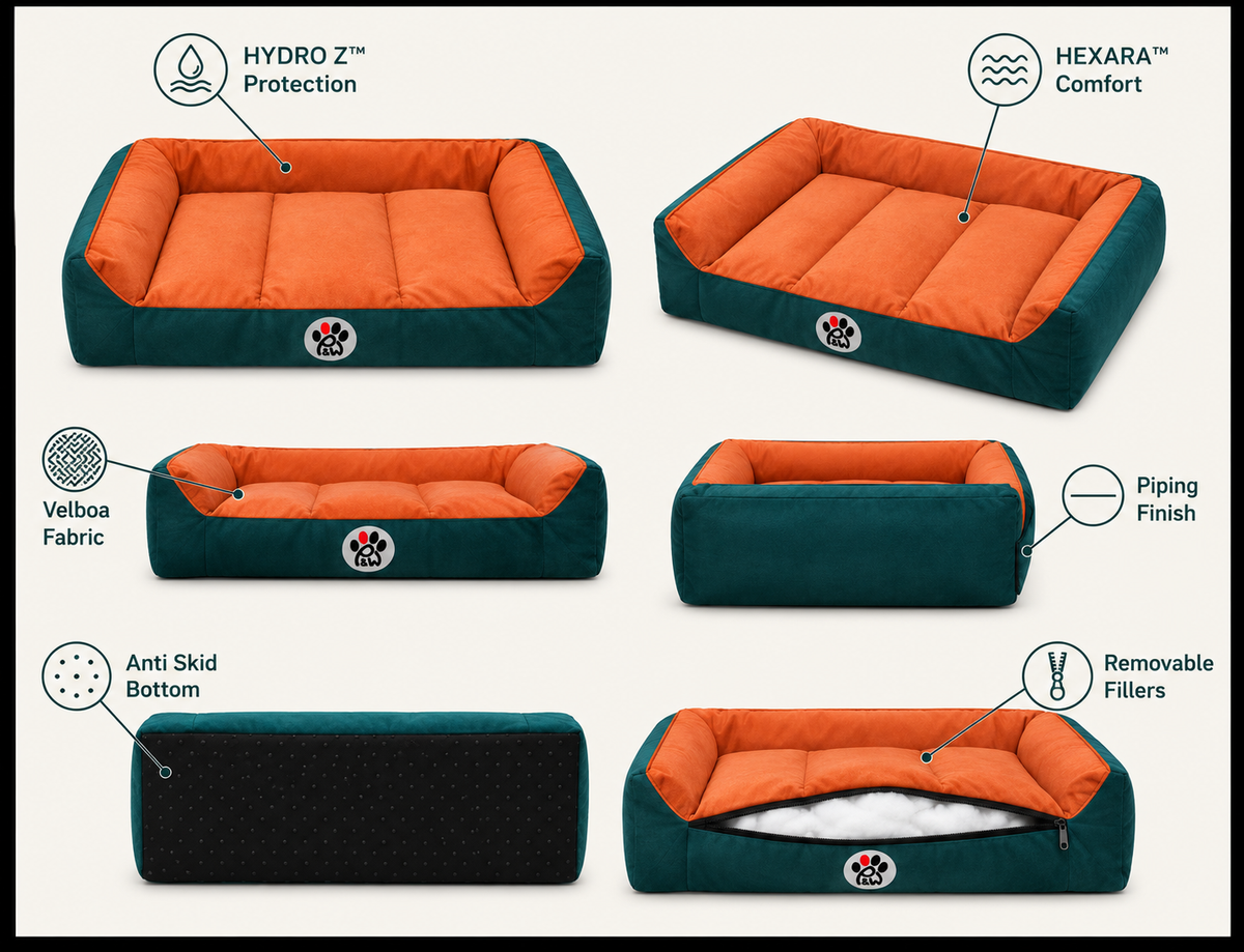 Lounger Bed