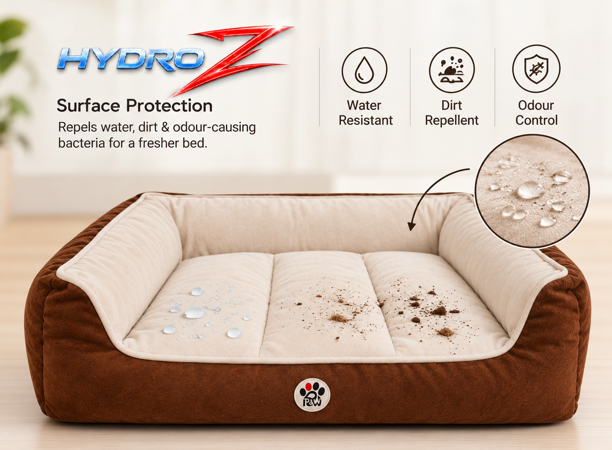 Lounger Bed