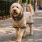 Urban Explorer Dog Coat