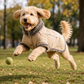 Urban Explorer Dog Coat