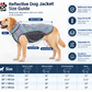 Aurora Dog Jacket