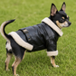 Godfather Jacket